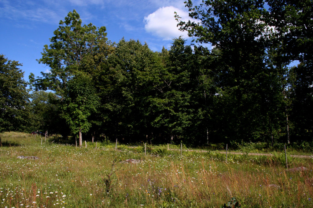 Vara – Naturskyddsförening